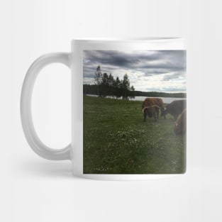 Scottish Highland Cattle Bulls 1785 Mug